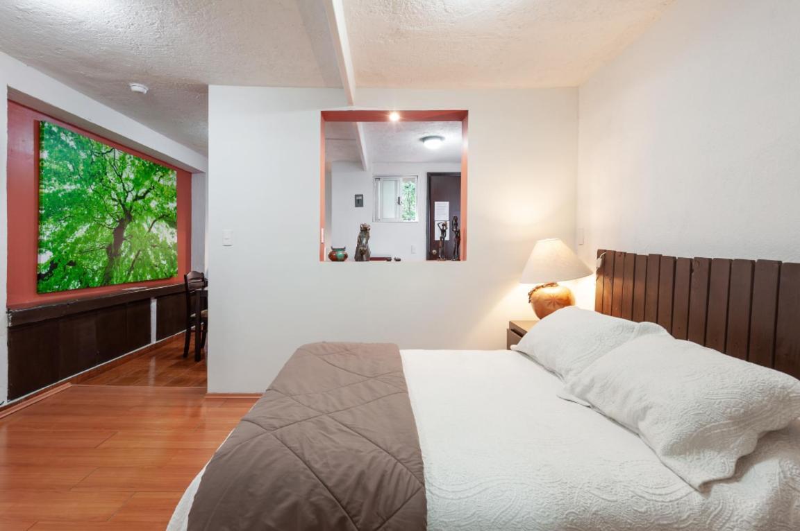 Suite 5A, Altavista, Garden House, Welcome To San Angel Mexiko-Stadt Exterior foto