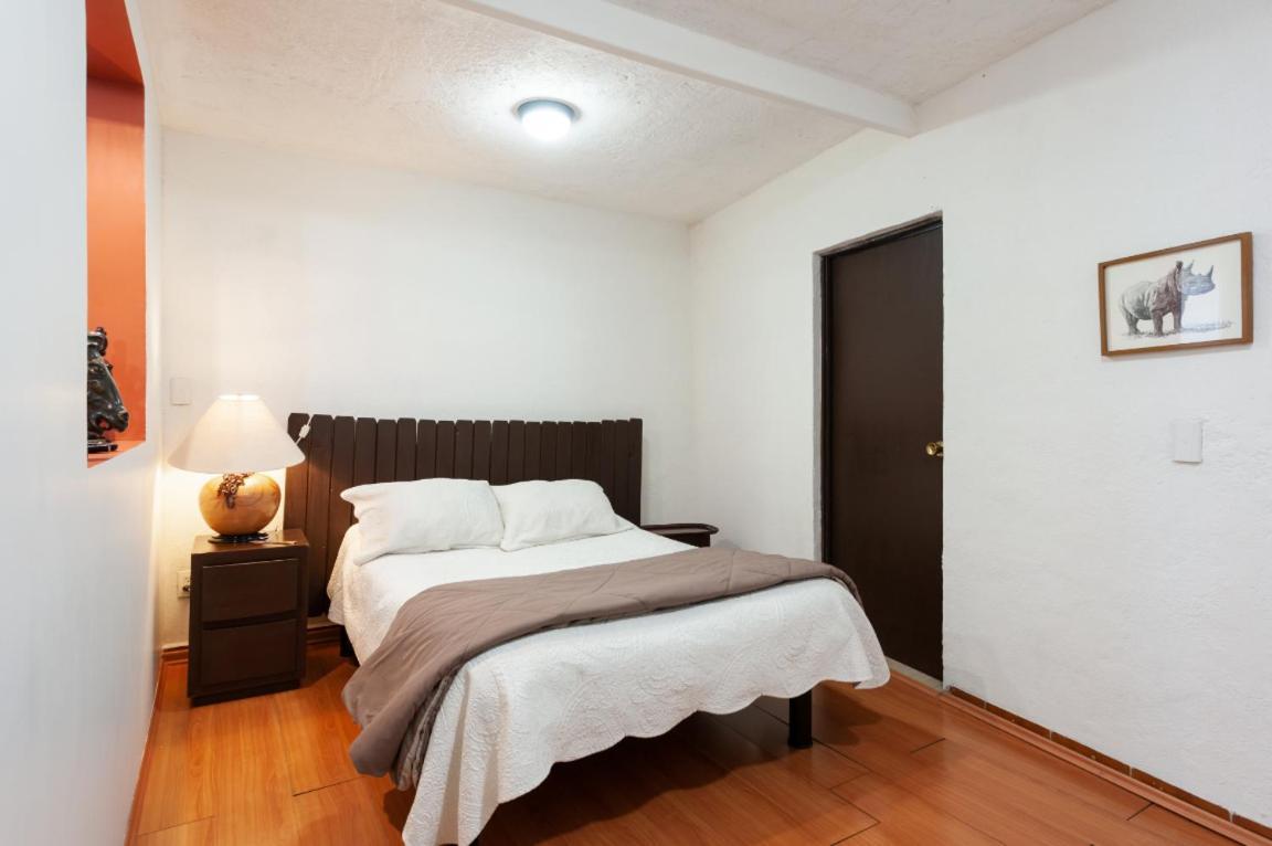 Suite 5A, Altavista, Garden House, Welcome To San Angel Mexiko-Stadt Exterior foto