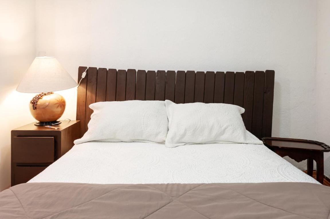 Suite 5A, Altavista, Garden House, Welcome To San Angel Mexiko-Stadt Exterior foto