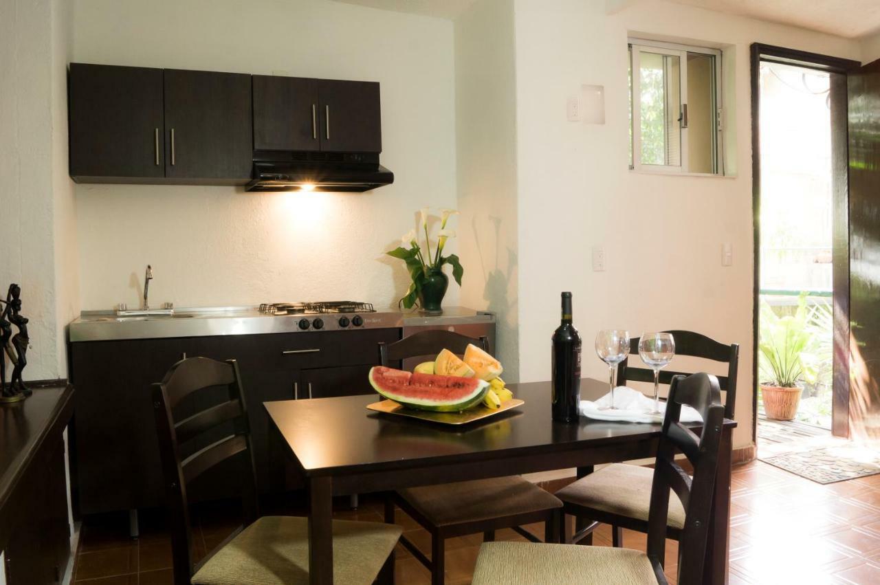Suite 5A, Altavista, Garden House, Welcome To San Angel Mexiko-Stadt Exterior foto