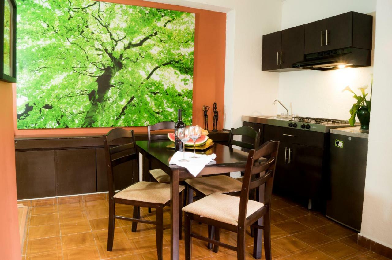 Suite 5A, Altavista, Garden House, Welcome To San Angel Mexiko-Stadt Exterior foto