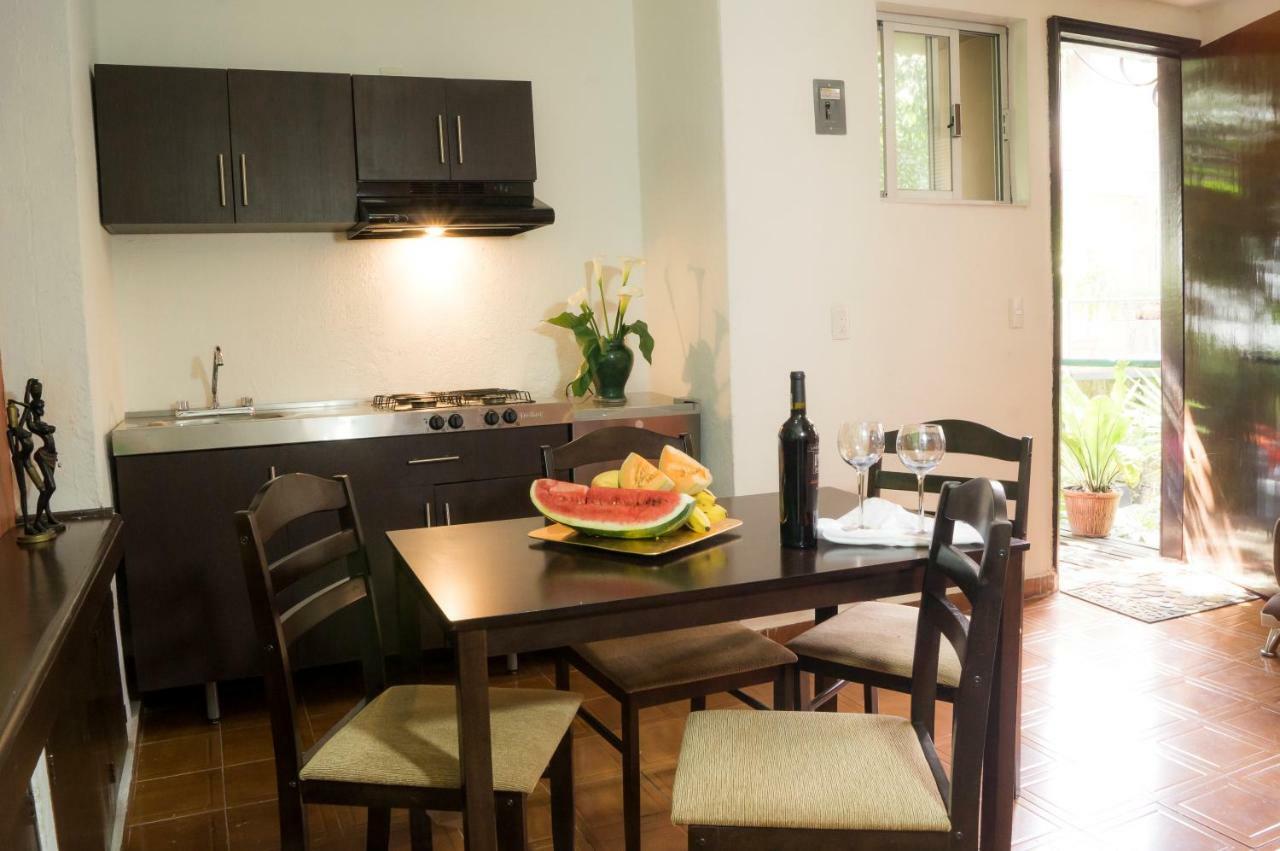 Suite 5A, Altavista, Garden House, Welcome To San Angel Mexiko-Stadt Exterior foto