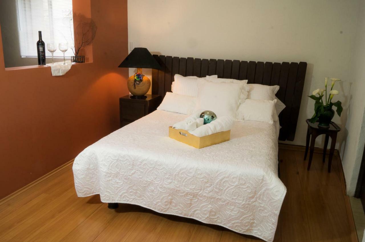 Suite 5A, Altavista, Garden House, Welcome To San Angel Mexiko-Stadt Exterior foto