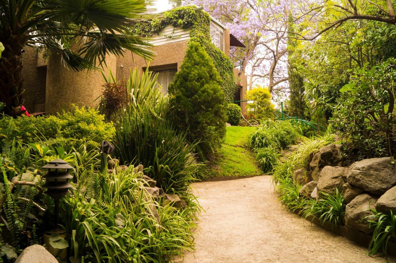 Suite 5A, Altavista, Garden House, Welcome To San Angel Mexiko-Stadt Exterior foto