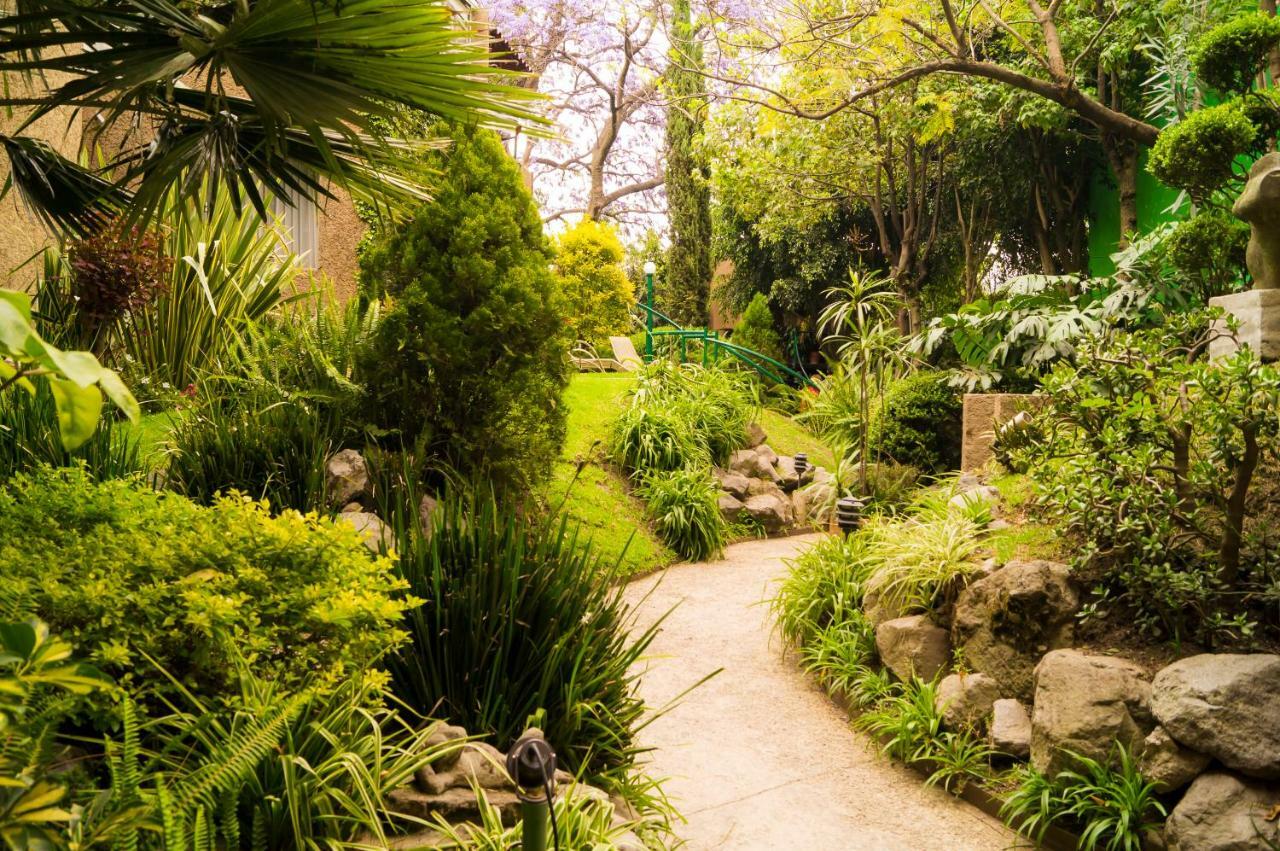 Suite 5A, Altavista, Garden House, Welcome To San Angel Mexiko-Stadt Exterior foto