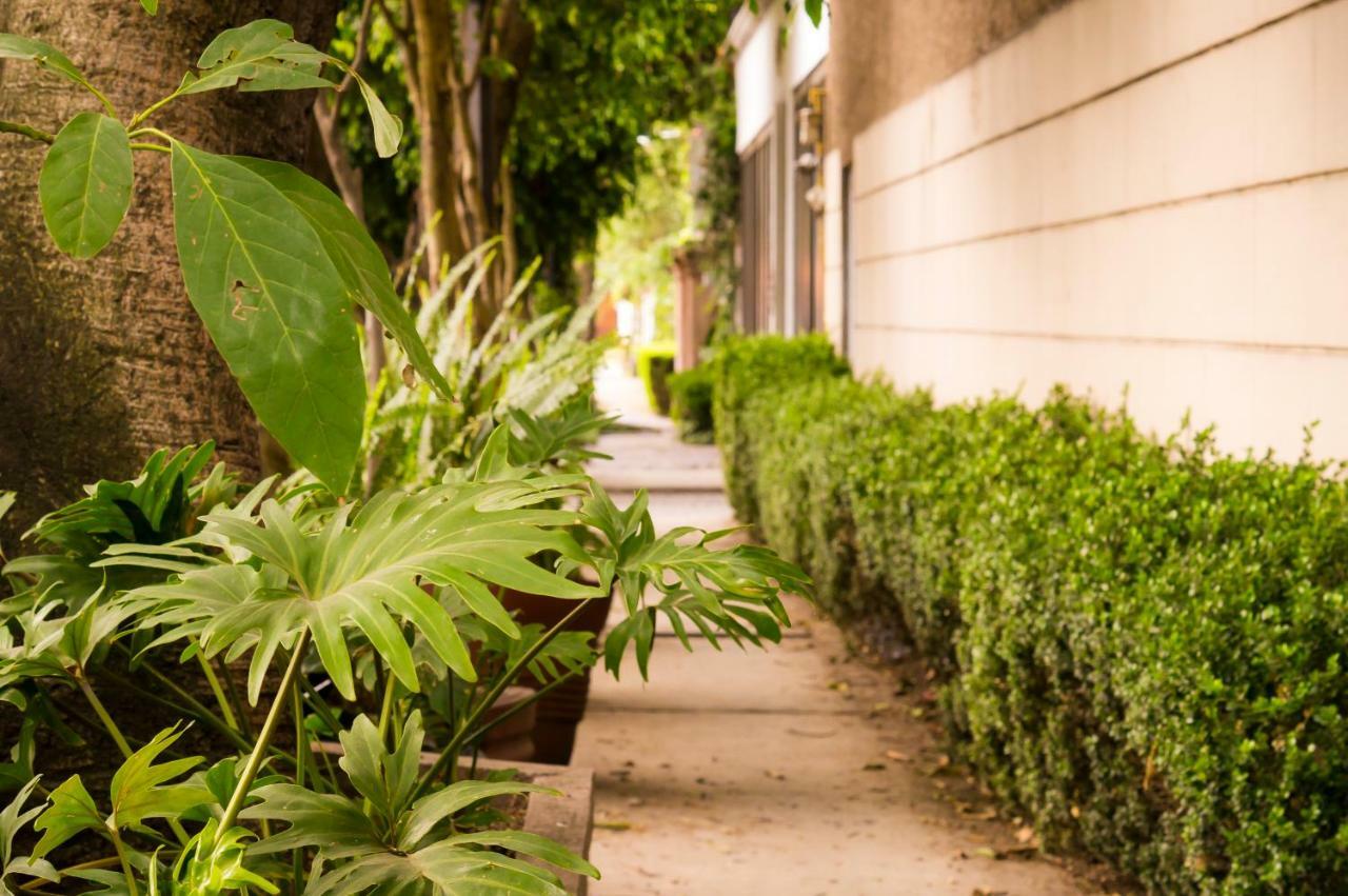 Suite 5A, Altavista, Garden House, Welcome To San Angel Mexiko-Stadt Exterior foto